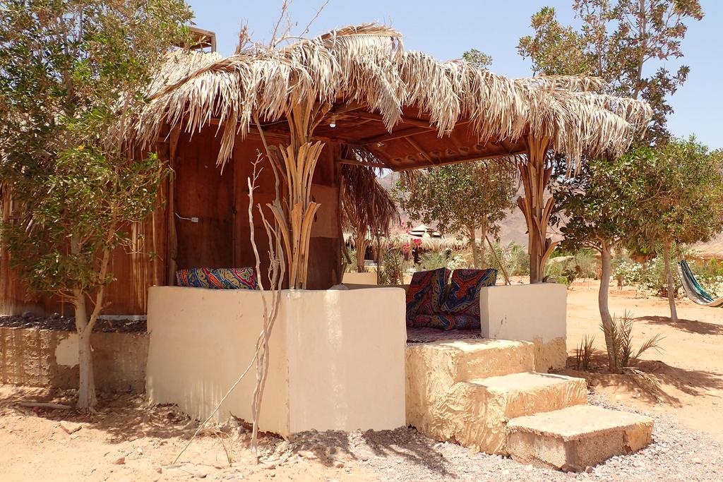 Zdjęcie hotelu Bedouin Star