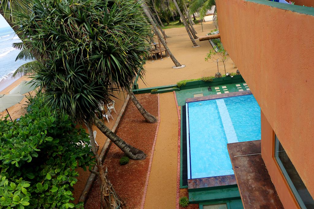 Roy Villa Beach Hotel, Шрі-Ланка, Берувела, тури, фото та відгуки