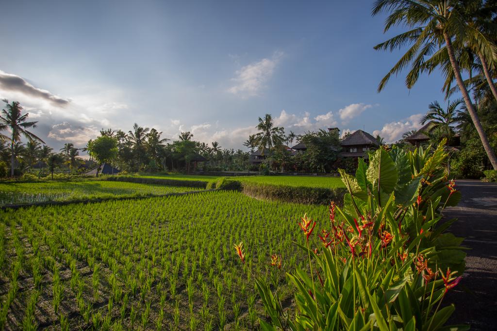 Agung Raka, Бали (Индонезия), Танжунг-Беноа, туры, фото и отзывы