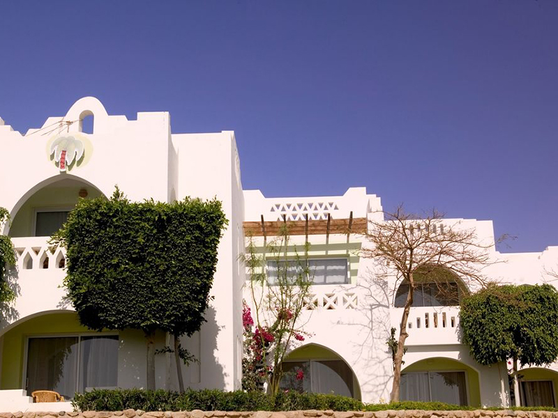 Domina Coral Bay Oasis, Egypt, Sharm el-Sheikh, tours, photos and reviews