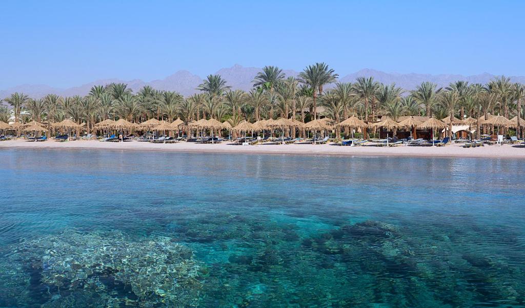 Sharm Fayrouz Resort (ex. Hilton Fayrouz) фото и отзывы