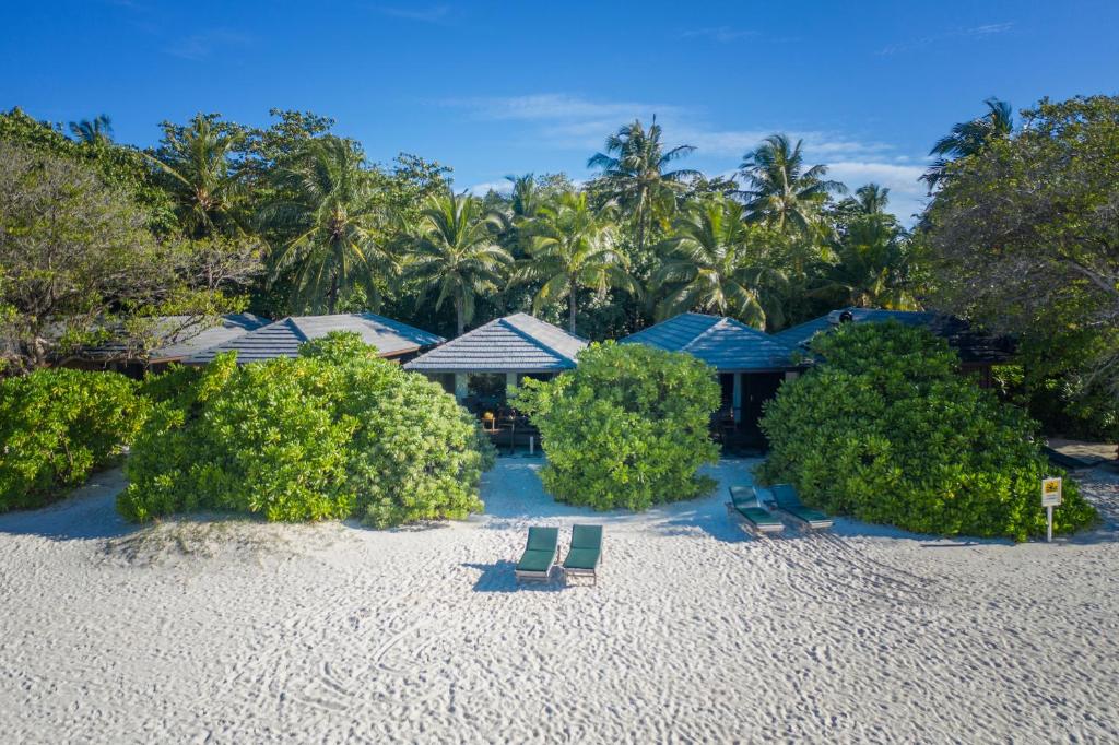 Wakacje hotelowe Royal Island Resort & Spa Atol Baa Malediwy
