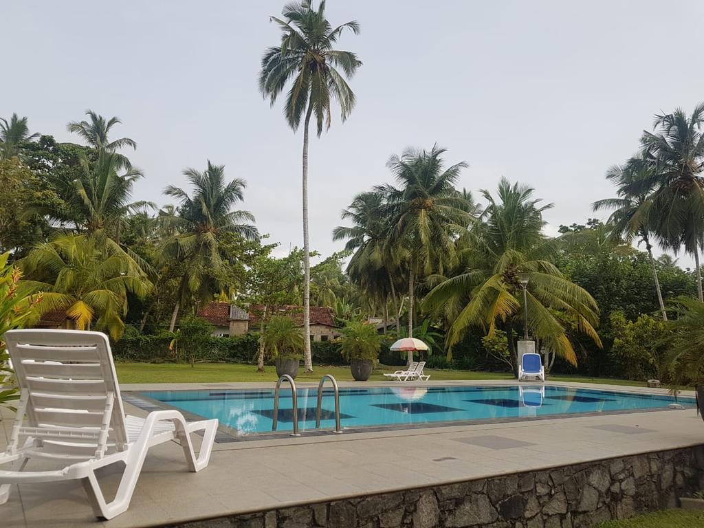 Горящие туры в отель Villa Velmarie & Ayurveda Resort Берувела Шри-Ланка