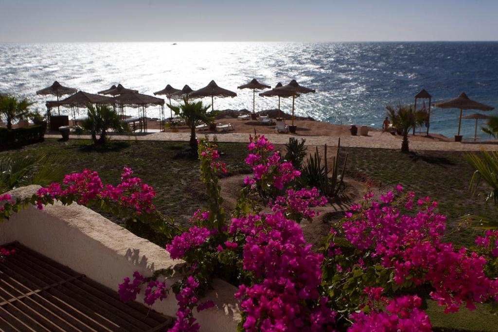 Sharm Club Beach Resort (ex. Labranda Tower Sharm) zdjęcia turystów
