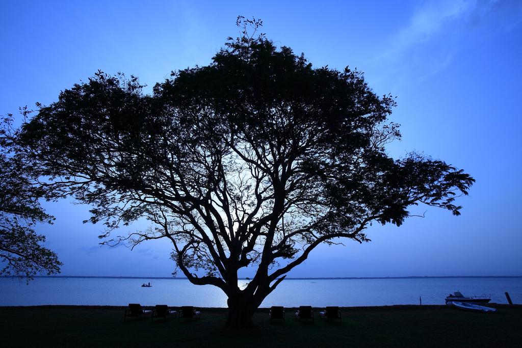 Jetwing Lagoon, Negombo, zdjęcia z wakacje