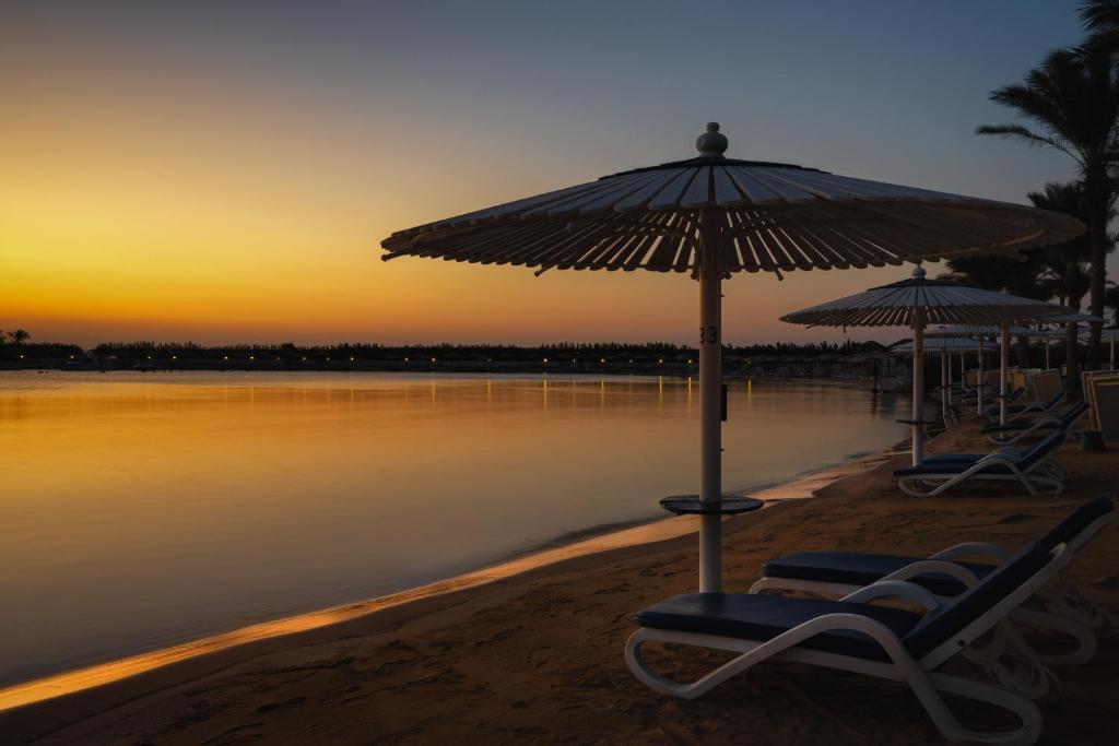 Swiss Inn Resort Hurghada (ex. Hilton Resort Hurghada), Египет, Хургада, туры, фото и отзывы