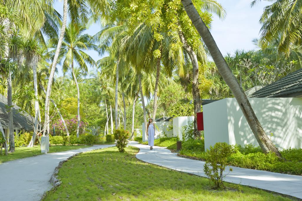 Мальдивы Holiday Island Resort & Spa