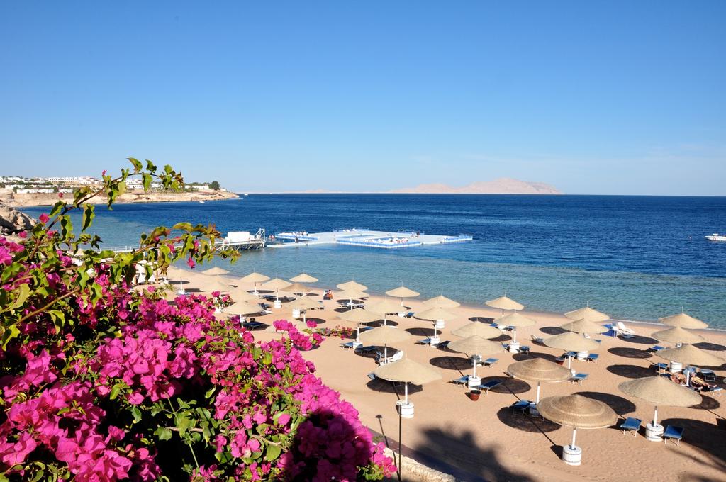 Wakacje hotelowe Domina Coral Bay Sultan Pool Szarm el-Szejk Egipt