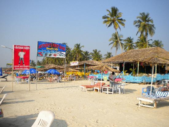Wakacje hotelowe Micasa By The Sea GOA na północ Indie