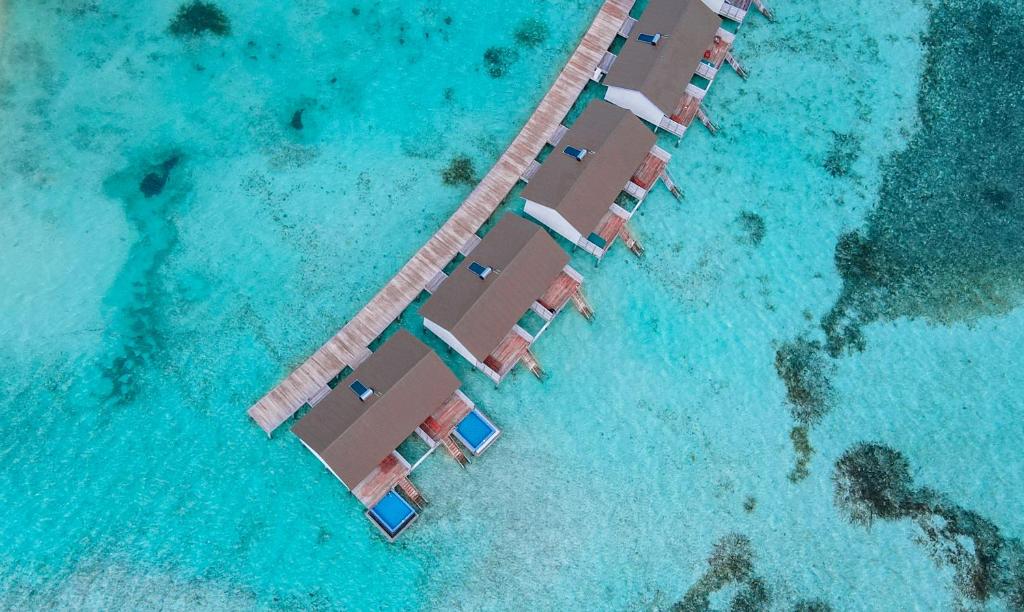 South Palm Resort Maldives, Адду Атолл, Мальдивы, фотографии туров