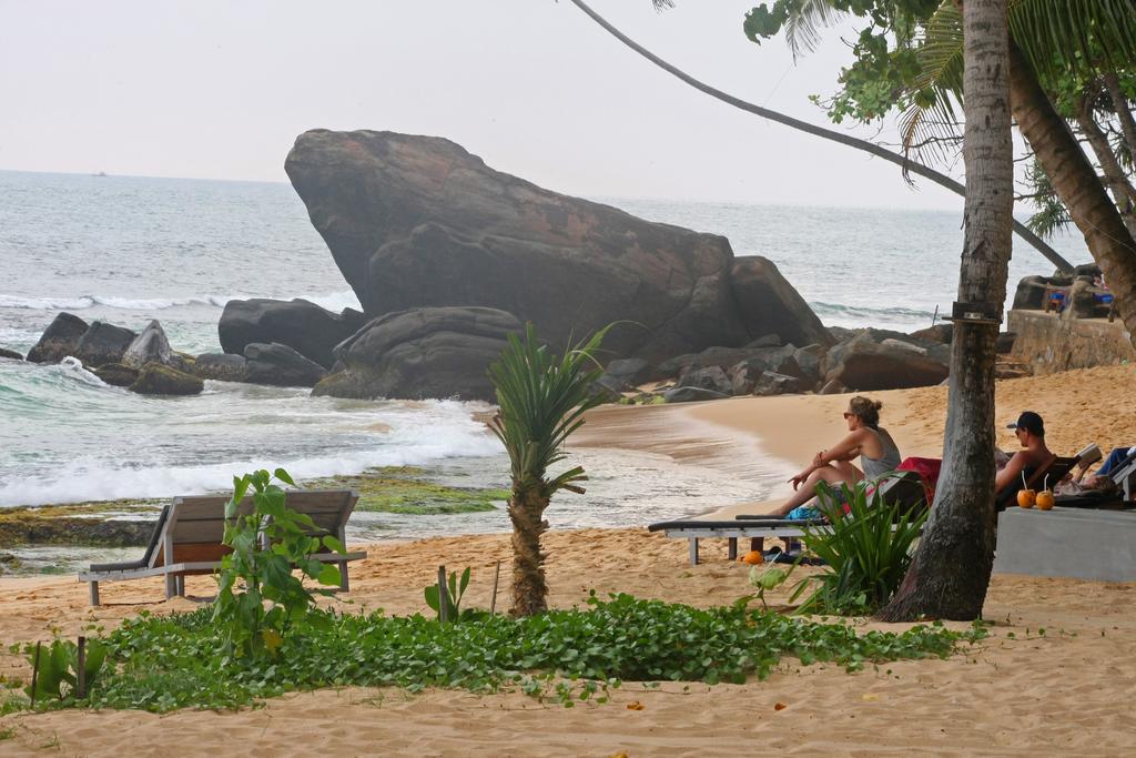 Sayura Beach Hotel, Шри-Ланка, Унаватуна, туры, фото и отзывы
