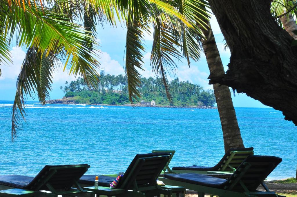 Odpoczynek w hotelu Ypsylon Tourist Resort Beruwala Sri Lanka