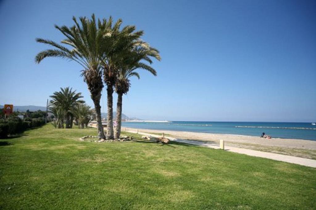 Oferty hotelowe last minute Tatiana Coral Bay Suite Patos Cypr