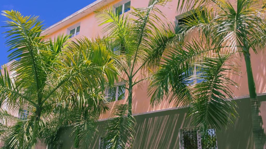 Hotel Marimba Punta Cana, Пунта-Кана, Доминиканская республика, фотографии туров