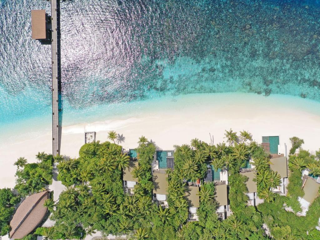 Отель, Park Hyatt Maldives Hadahaa