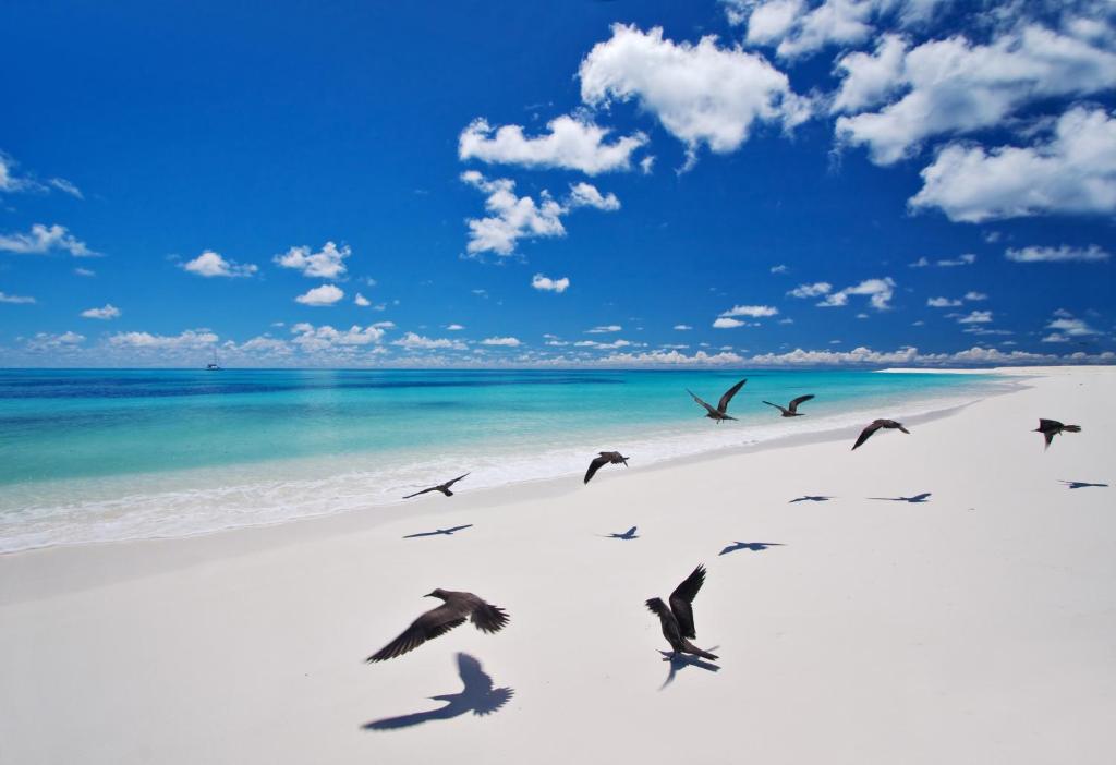 Bird Island Seychelles - Private Island Villas, Бёрд (остров), Сейшелы, фотографии туров