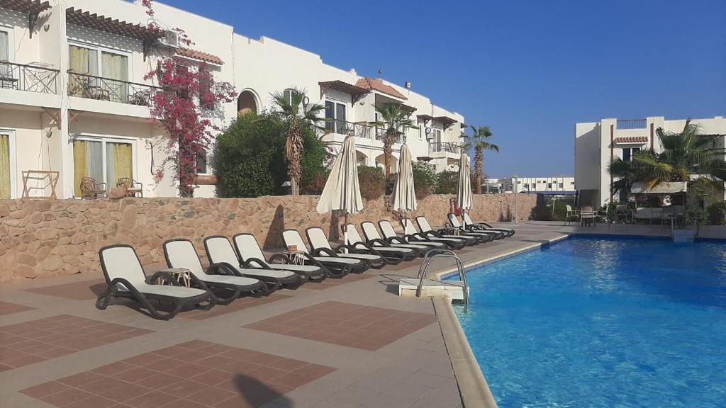 Отзывы про отдых в отеле, Logaina Sharm Resort