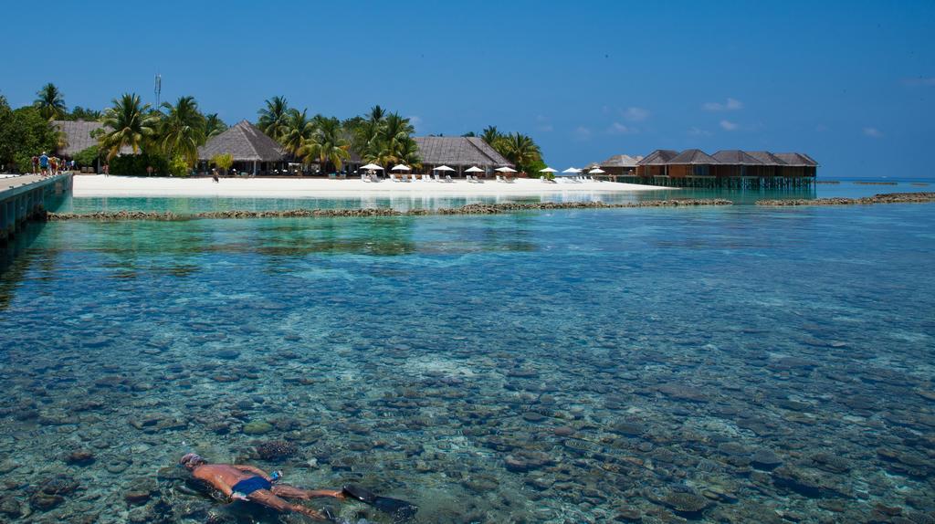 Туры в отель Vakarufalhi Island Resort Южный Ари Атолл Мальдивы