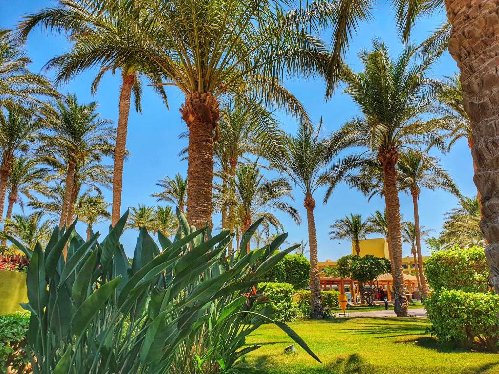 Palm Beach Resort, Єгипет