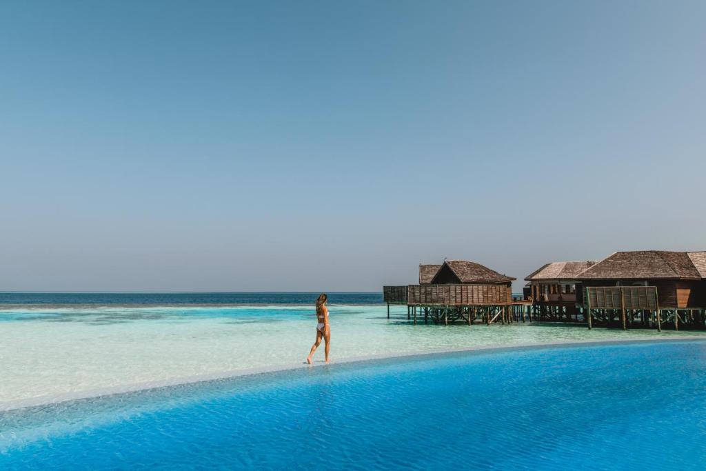 Lily Beach Resort & Spa, Мальдивы, Ари & Расду Атоллы, туры, фото и отзывы