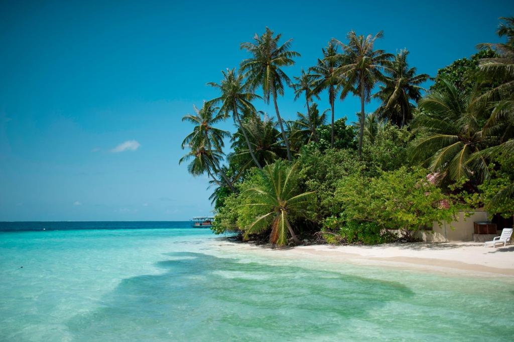 Biyadhoo Island Resort, Мальдивы, Южный Мале Атолл, туры, фото и отзывы