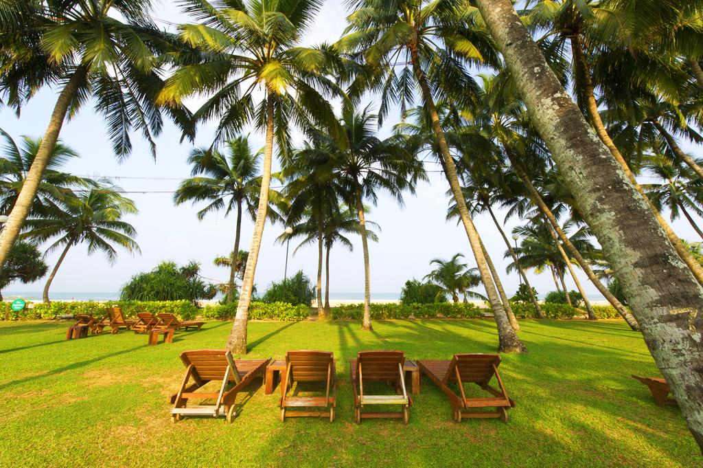 Відгуки про відпочинок у готелі, Avani Bentota Resort & Spa