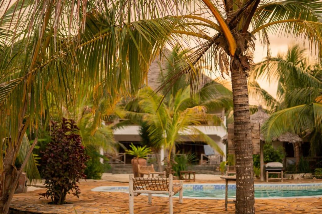 Горящие туры в отель Mbuyuni Beach Village Занзибар (остров) Танзания