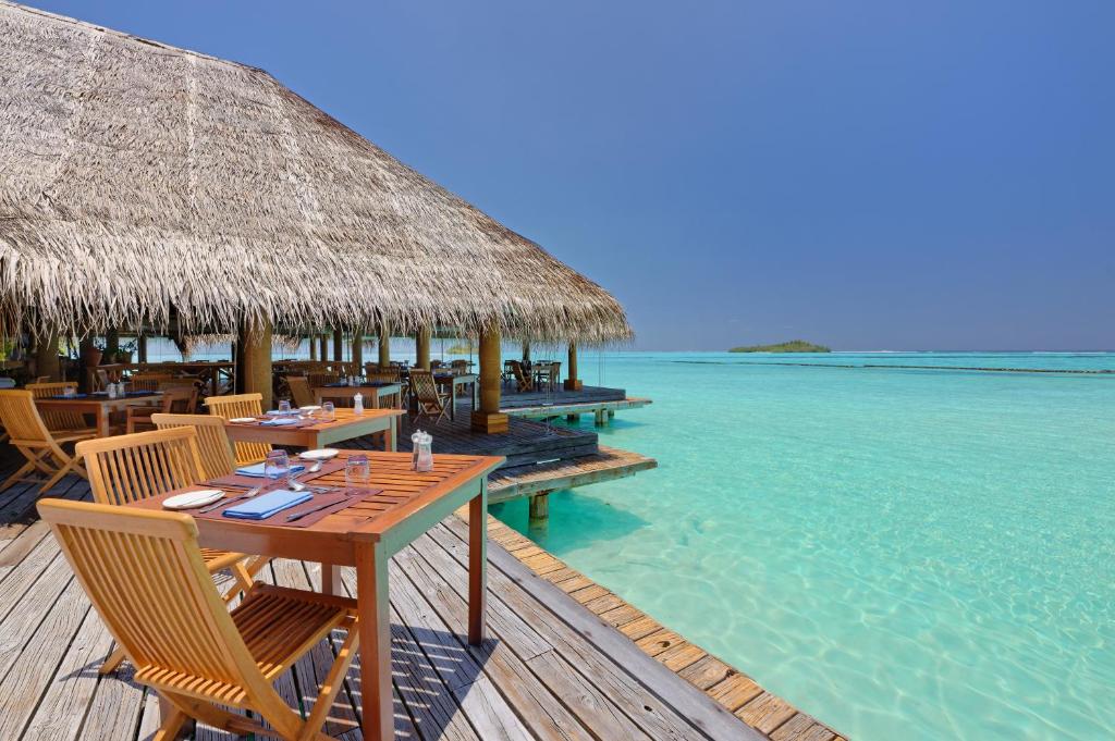 Rihiveli Maldives Resort (ex. Rihiveli the Dream), фотографии туристов