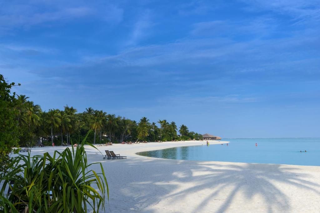 Відгуки про готелі Cocoon Maldives