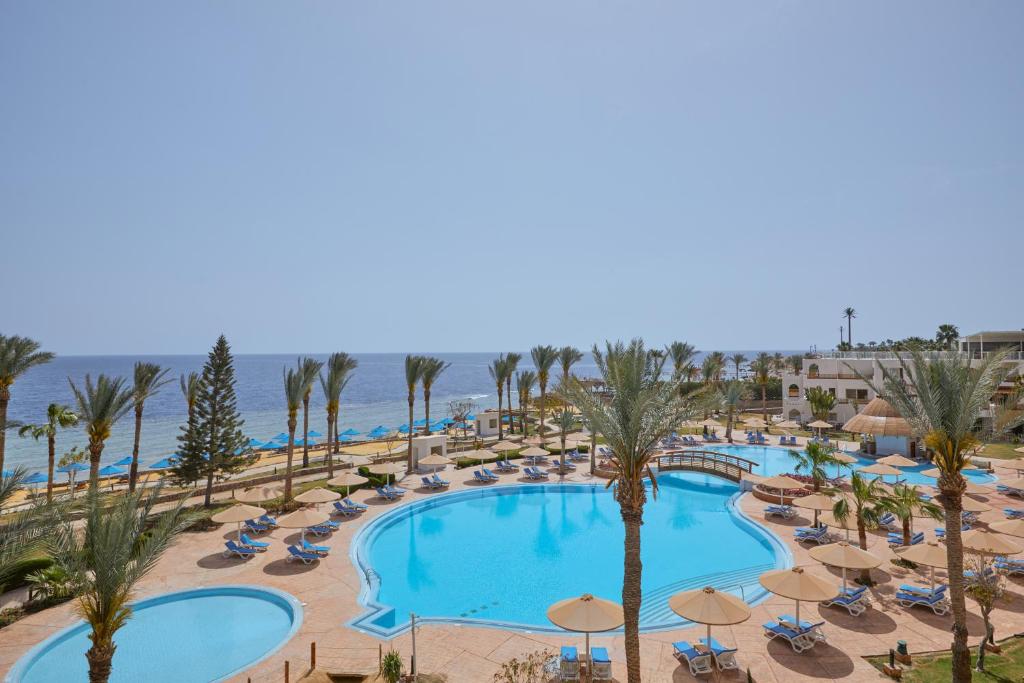 Pickalbatros Royal Grand Sharm Resort (Adults Only 16+) фото и отзывы