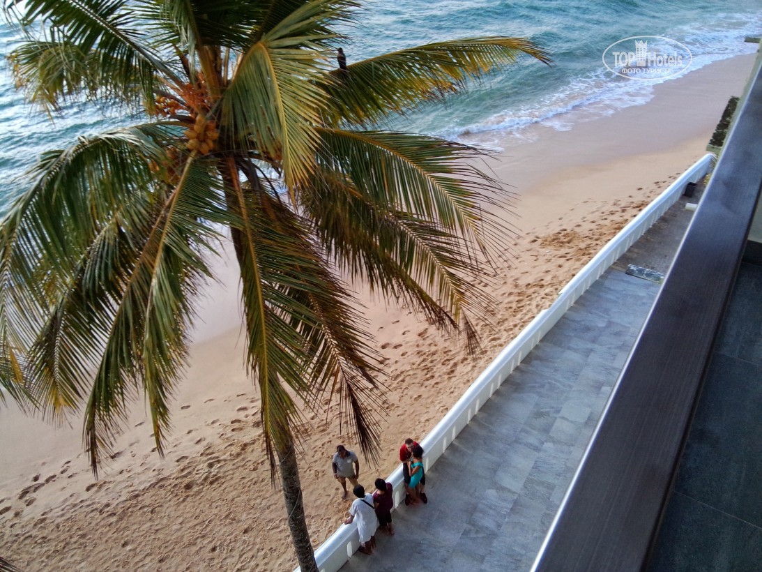 Туры в отель Hikkaduwa Beach Хиккадува Шри-Ланка