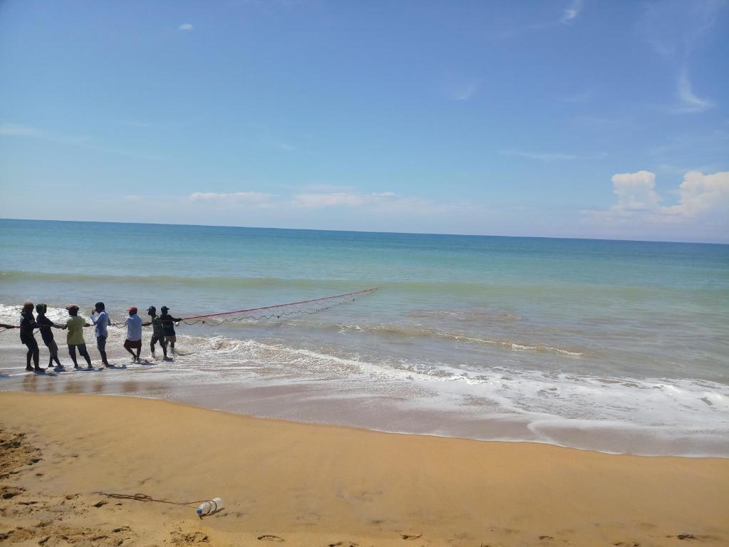 Горящие туры в отель Serendiva Beach Ваддува Шри-Ланка