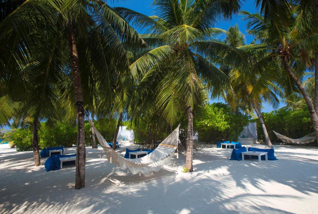 Відпочинок в готелі Velassaru Maldives