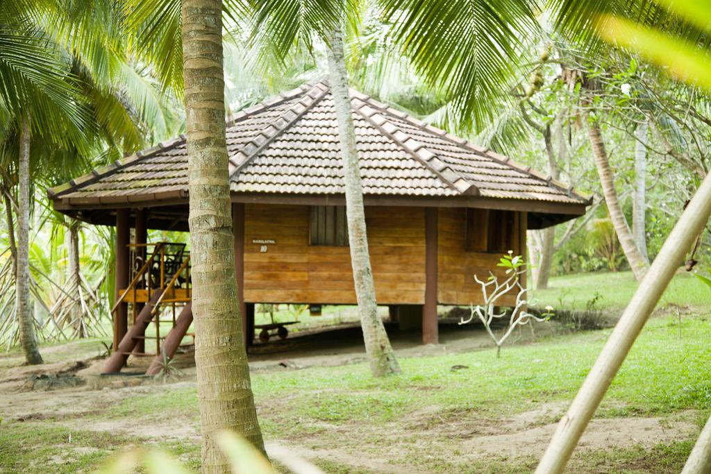 Hotel photos Palm Paradise Cabanas