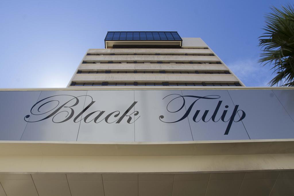 Hotel Black Tulip, 4, фотографії