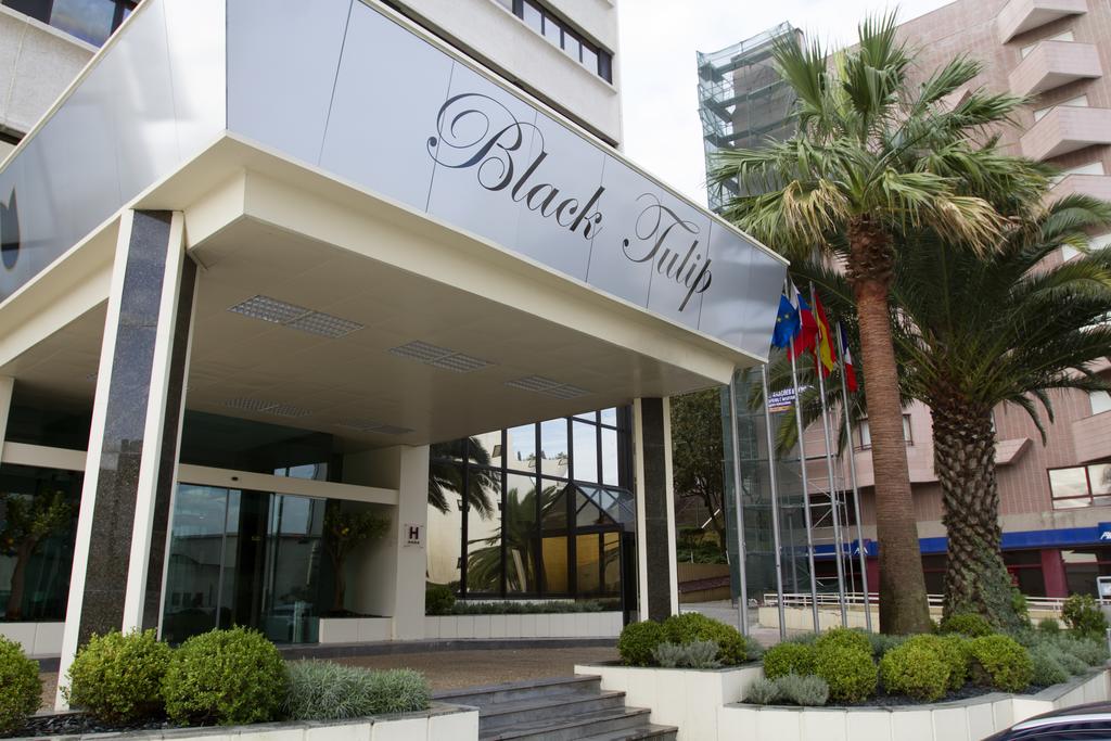 Opinie gości hotelowych Hotel Black Tulip