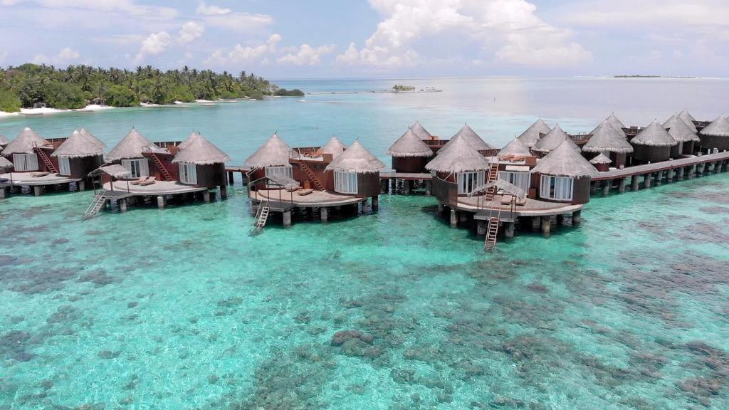 Hot tours in Hotel Nika Island Resort Ari & Razd Atoll