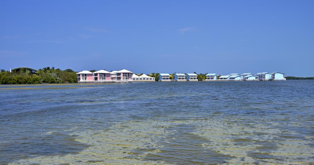 Melia Cayo Coco (only adults) ціна