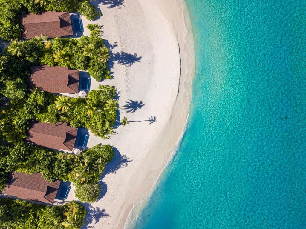 Гарячі тури в готель The Standard (ex.Carpe Diem Beach) Раа Атол Мальдіви
