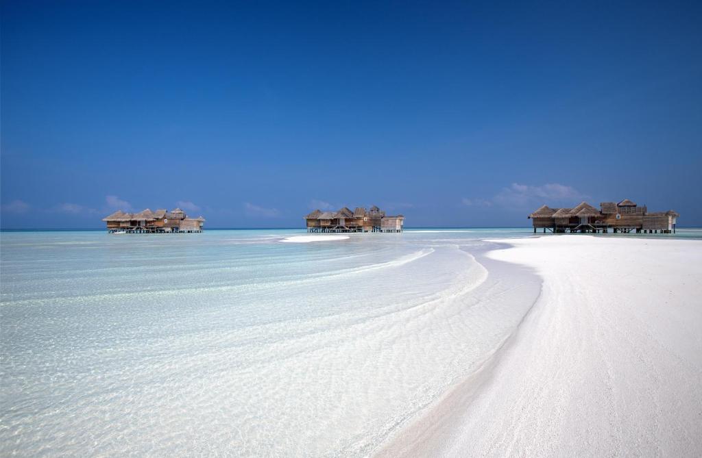 Gili Lankanfushi фото туристов