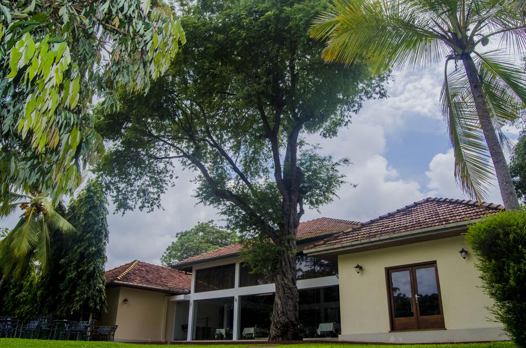 Шри-Ланка Tamarind Tree Hotel