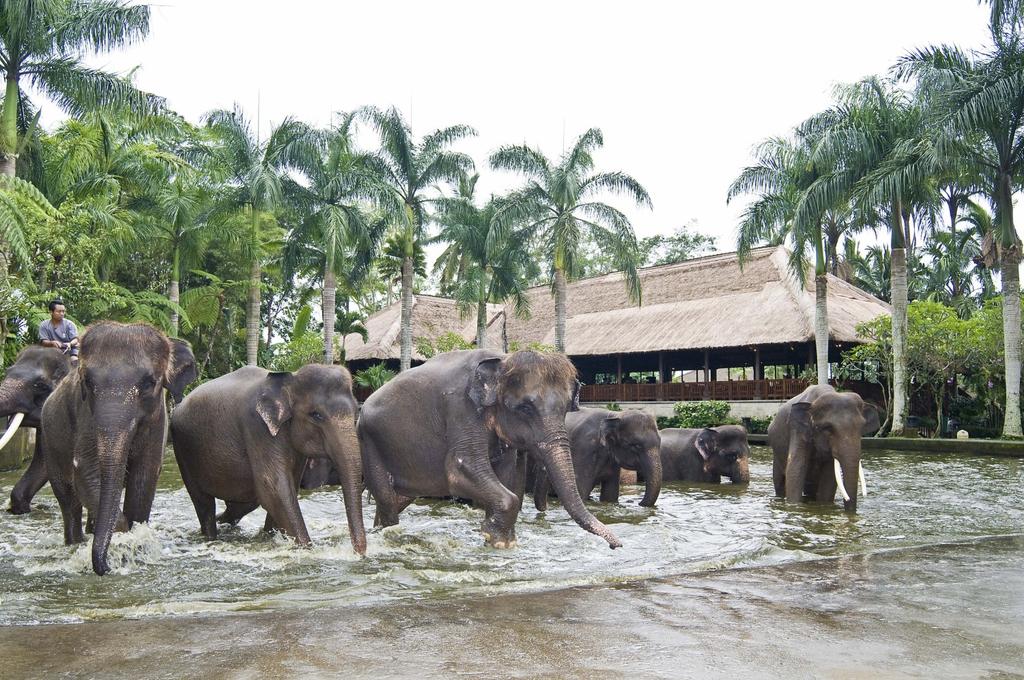 Туры в отель Elephant Safari Park Lodge