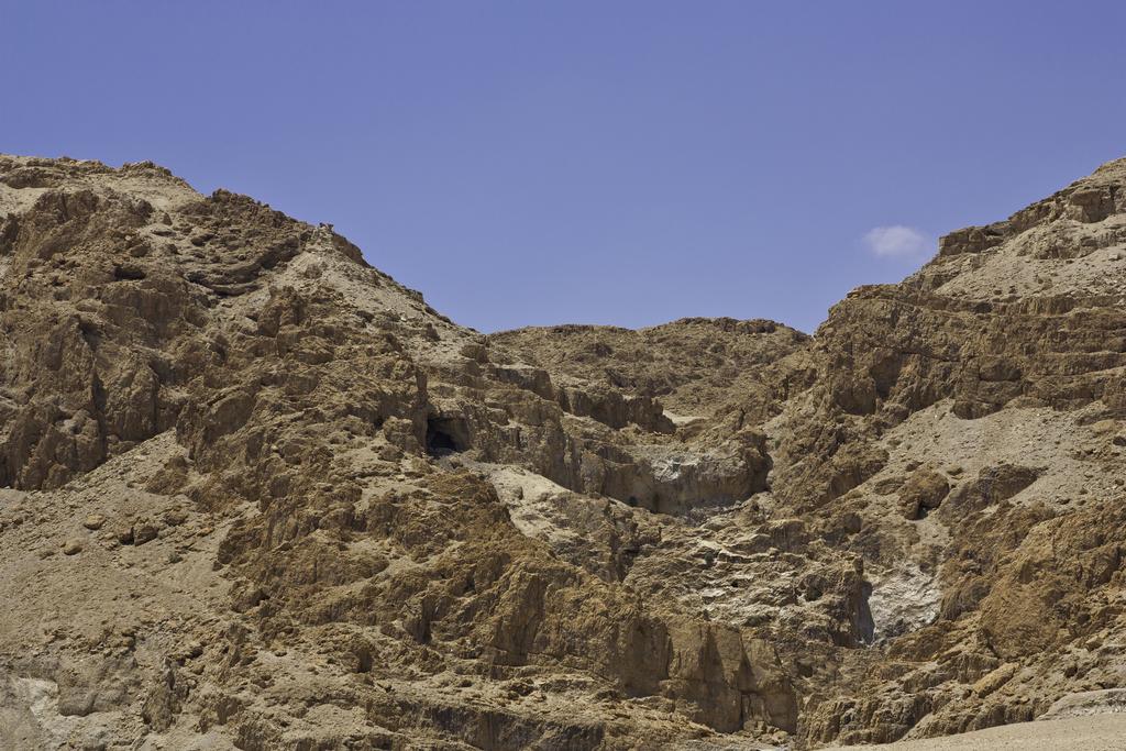 Almog Kibbutz Hotel, Мёртвое море цены