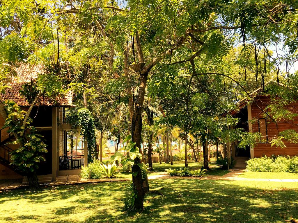 Palm Paradise Cabanas, Шри-Ланка, Тангалле, туры, фото и отзывы