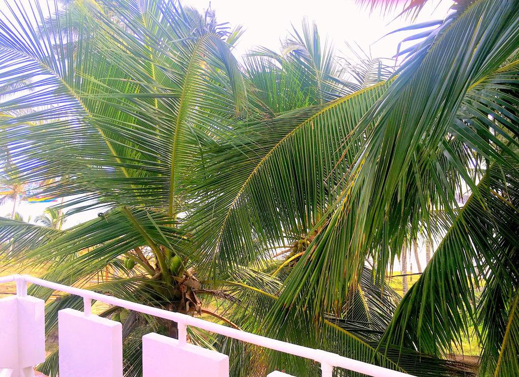 Shangrela Beach Resort, Ambalangoda, zdjęcia z wakacje