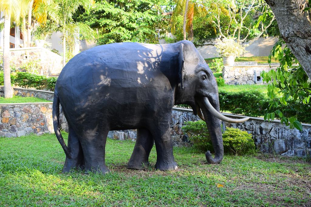 Romaya Villa, Шри-Ланка, Унаватуна, туры, фото и отзывы