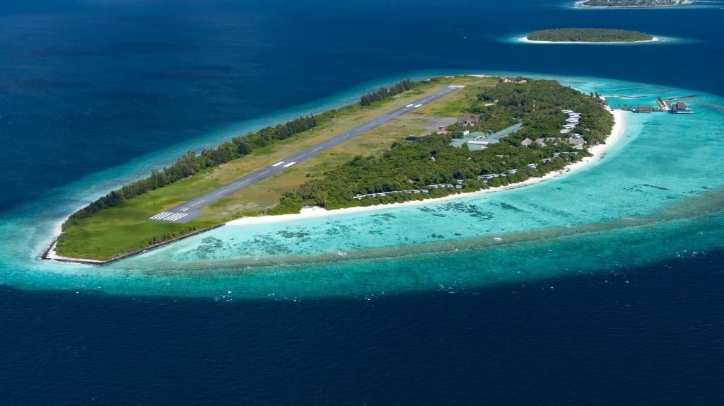 Отель, Ifuru Island Maldives