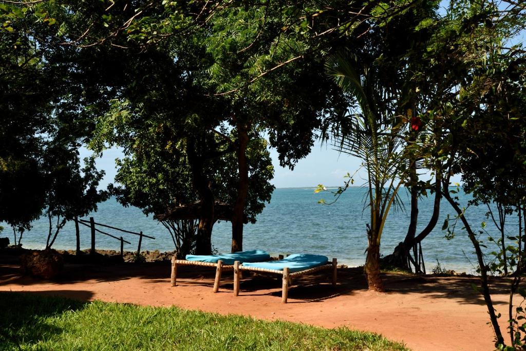 Fumba Beach Lodge, Танзания, Фумба, туры, фото и отзывы