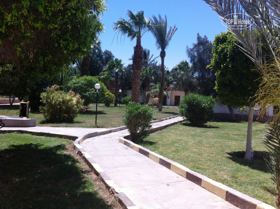El Samaka Comfort, Egipt, Hurghada, wakacje, zdjęcia i recenzje