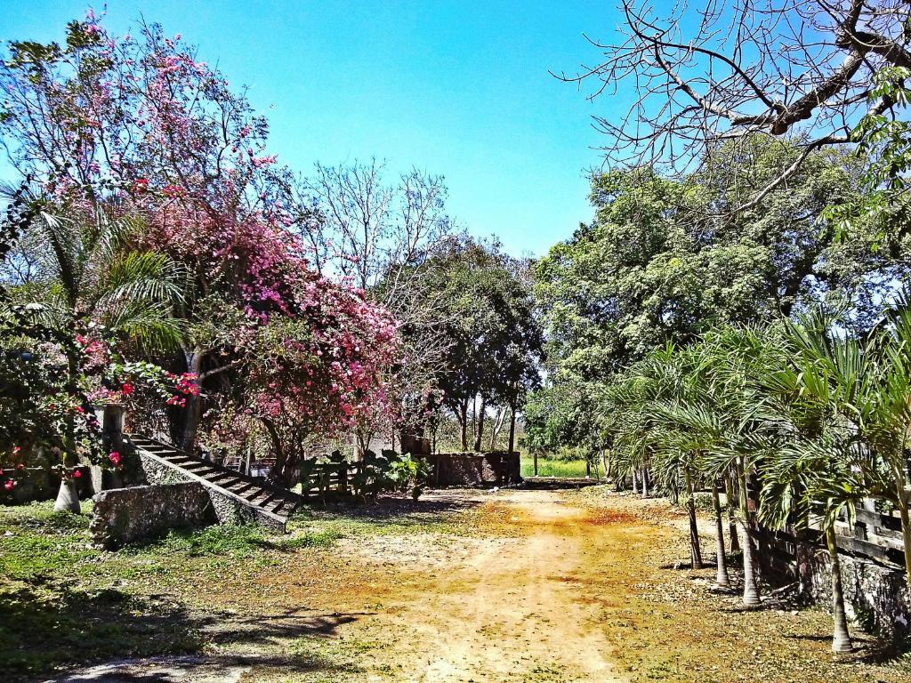 Hacienda San Miguel Мексика ціни